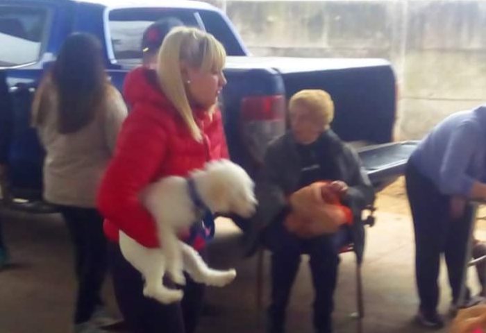 Castración de mascotas