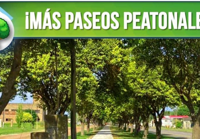🌳¡MÁS PASEOS PEATONALES!🌳