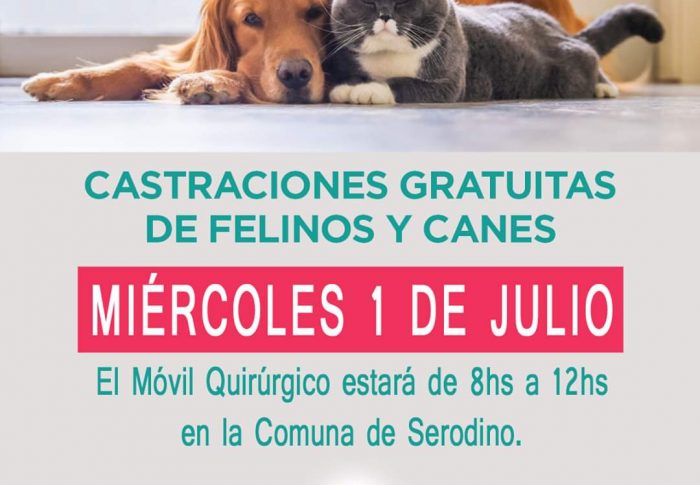 🐶CAMPAÑA MASIVA Y GRATUITA DE ESTERILIZACIÓN🐱