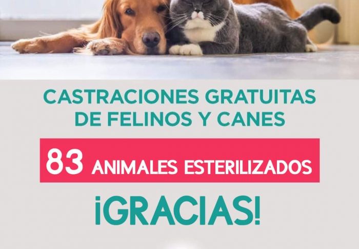 🐶CAMPAÑA DE ESTERILIZACIÓN GRATUITA🐱