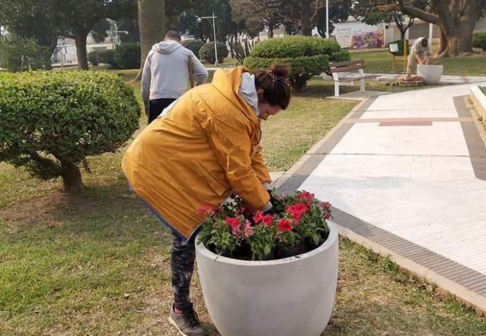 💐JARDINERÍA EN LA PLAZA 🌷