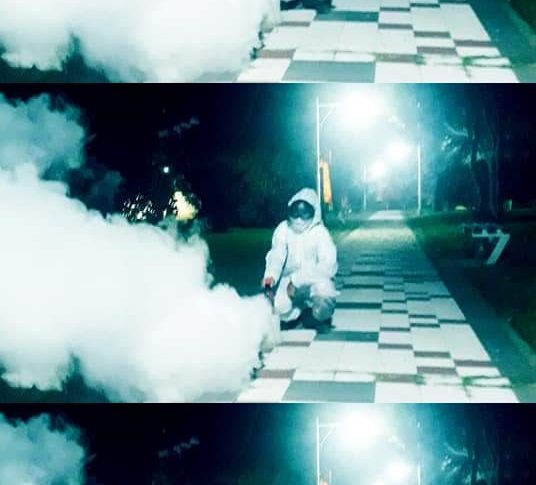 🦟 FUMIGACION 🦟