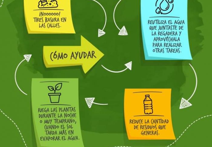 Cuidemos el Medio Ambiente 🤗♻️
