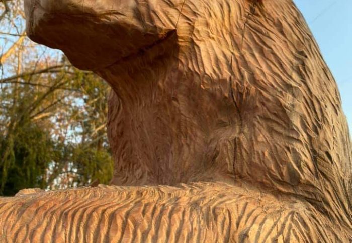 🇦🇷 ARTE DEL MUNDO A SERODINO 👏