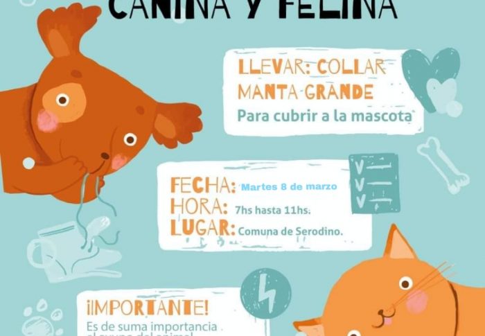 CAMPAÑA MASIVA Y GRATUITA DE ESTERILIZACIÓN